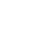 Email Campaign Icon